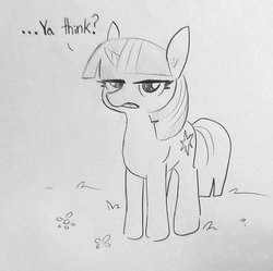 Size: 1283x1279 | Tagged: safe, artist:tjpones, twilight sparkle, pony, unicorn, g4, dialogue, female, grayscale, lidded eyes, looking at you, mare, monochrome, pencil drawing, sarcasm, simple background, solo, traditional art, twilight sparkle is not amused, unamused, unicorn twilight