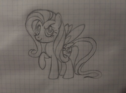 Size: 4208x3120 | Tagged: safe, artist:mirrorcrescent, fluttershy, pony, g4, female, graph paper, solo, traditional art
