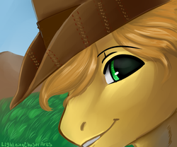 Size: 1200x1000 | Tagged: safe, artist:lightningchaserarts, braeburn, earth pony, pony, g4, appleloosa, green eyes, icon, paint tool sai, painting, vent art, yellow hair