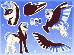 Size: 1280x951 | Tagged: safe, artist:sadelinav, oc, oc only, oc:sadelina, pegasus, pony, colored wings, female, mare, multicolored wings, reference sheet, solo, wings