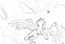 Size: 1934x1294 | Tagged: artist needed, safe, oc, oc:playbitz, pegasus, pony, freeflight, large wings, soaring, wings