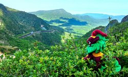 Size: 2048x1228 | Tagged: safe, artist:hihin1993, kirin, forest, hill, irl, japan, photo, plushie, scenery, solo