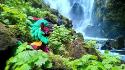 Size: 2048x1152 | Tagged: safe, artist:hihin1993, cinder glow, summer flare, pony, g4, forest, irl, japan, photo, plushie, scenery, solo, waterfall