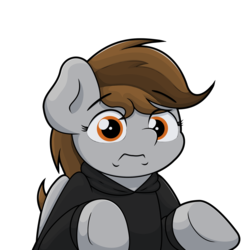 Size: 1920x1920 | Tagged: safe, artist:ljdamz1119, oc, oc only, oc:penny page, pegasus, pony, clothes, guess i'll die, hoodie, meme, ponified meme, simple background, solo, transparent background