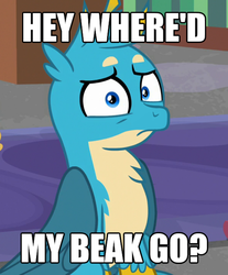 Size: 804x972 | Tagged: safe, edit, edited screencap, screencap, gallus, griffon, hybrid, pony, g4, what lies beneath, abomination, beakless, caption, confused, cropped, cursed image, frown, image macro, looking at you, male, meme, missing accessory, oh no, pony-muzzled griffon, pure unfiltered evil, sitting, solo focus, text, text edit, wat, what has science done, wide eyes, worried, wtf