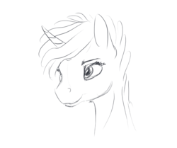 Size: 979x818 | Tagged: safe, artist:fynjy-87, oc, oc only, pony, unicorn, bust, grayscale, lineart, monochrome, portrait, simple background, sketch, white background