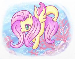 Size: 600x469 | Tagged: safe, artist:cherubfish, fluttershy, pegasus, pony, seapony (g4), g4, artrage, coral, cute, female, seaponified, seapony fluttershy, shyabetes, solo, species swap, swimming, underwater