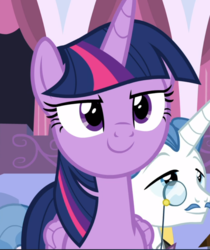 Size: 788x940 | Tagged: safe, screencap, fancypants, twilight sparkle, alicorn, pony, unicorn, between dark and dawn, g4, cropped, female, male, proud, smiling, solo focus, stallion, twilight sparkle (alicorn)