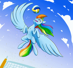 Size: 1500x1392 | Tagged: safe, artist:ikarooz, rainbow dash, pony, g4, beach, cloud, female, perspective, sky, solo, sports, spread wings, sweatband, volleyball, volleyball net, wings