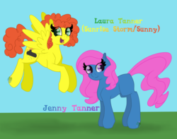 Size: 3800x3000 | Tagged: safe, artist:eillahwolf, oc, earth pony, pegasus, pony, fanfic:pandemic, fanfic:pandemic(asgeek2012), female, high res, simple background