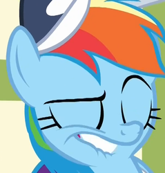 Size: 500x522 | Tagged: safe, screencap, rainbow dash, pegasus, pony, flight to the finish, g4, season 4, coach rainbow dash, cropped, dreamworks face, eyebrows, eyes closed, faic, female, hat, lip bite, mare, out of context, rainbow dash is best facemaker, solo, teeth, unf