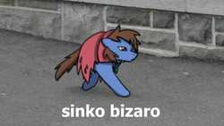 Size: 800x450 | Tagged: safe, artist:sugar morning, oc, oc:bizarre song, cat, pony, two legged creature, cape, clothes, irl, jewelry, meme, necklace, obscure reference, photo, ponified, ponified animal photo, sinko peso, text, walking, when you walking