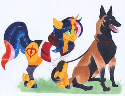 Size: 3891x2980 | Tagged: safe, artist:frozensoulpony, oc, oc only, oc:dawn warrior, dog, pony, unicorn, female, high res, malinois, mare, solo, traditional art