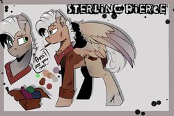 Size: 1200x800 | Tagged: safe, artist:beardie, oc, oc only, oc:sterling pierce, pegasus, pony, clothes, male, piercing, reference sheet, smoking, solo, stallion