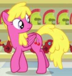 Size: 464x492 | Tagged: safe, screencap, cherry berry, pegasus, pony, a flurry of emotions, g4, animation error, cropped, female, mare, pegasus cherry berry, race swap, solo