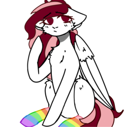 Size: 2050x2050 | Tagged: safe, artist:musegi, oc, oc only, oc:toricelli, pegasus, pony, clothes, high res, rainbow socks, simple background, socks, solo, striped socks