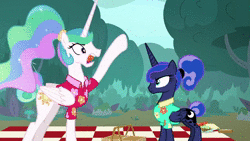 Size: 1920x1080 | Tagged: safe, edit, edited screencap, screencap, princess celestia, princess luna, alicorn, pony, between dark and dawn, g4, anchorman, animated, brick tamland, calm down luna, faic, female, food, i don't know what we're yelling about, loud noises, male, meme, picnic, sandwich, sound, steve carell, traditional royal canterlot voice, webm