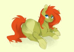 Size: 2048x1430 | Tagged: safe, artist:tangomangoes, oc, oc only, oc:tango, earth pony, pony, butt, featureless crotch, female, looking back, plot, solo