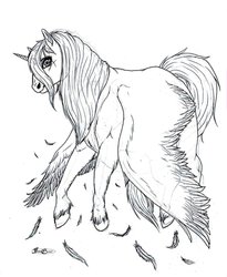 Size: 809x988 | Tagged: safe, oc, oc:fleurbelle, alicorn, pony, alicorn oc, female, mare, realistic, realistic pony, sketch