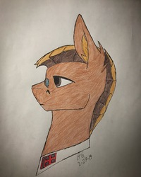 Size: 2785x3481 | Tagged: safe, artist:biergarten13, pony, fallout equestria, high res, royal equestrian army, solo, traditional art