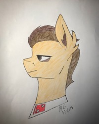 Size: 2698x3372 | Tagged: safe, artist:biergarten13, pony, fallout equestria, high res, royal equestrian army, solo, traditional art