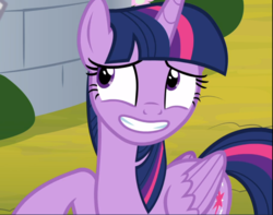 Size: 1191x939 | Tagged: safe, screencap, twilight sparkle, alicorn, pony, g4, sparkle's seven, adorkable, cropped, cute, dork, female, grin, looking up, mare, nervous, nervous smile, raised hoof, smiling, solo, teeth, twiabetes, twilight sparkle (alicorn)