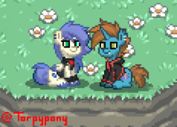 Size: 476x340 | Tagged: safe, artist:torpy-ponius, oc, oc only, oc:dyed, oc:pizza lord den, pony, pony town, animated, art trade, flower, gif, kissing, love, magic, pixel animation, pixel art, romantic, rose