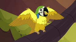 Size: 1920x1080 | Tagged: safe, screencap, bird, blue-and-yellow macaw, macaw, parrot, equestria girls, equestria girls series, g4, spring breakdown, spoiler:eqg series (season 2), animal, open beak, open mouth, spread wings, wings