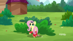Size: 1920x1080 | Tagged: safe, screencap, fluttershy, pegasus, pony, spider, g4, my little pony: rainbow roadtrip, bush, clothes, cute, discovery family logo, duo, female, leg warmers, leggings, mare, raised hoof, shyabetes
