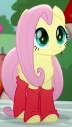 Size: 260x461 | Tagged: safe, screencap, fluttershy, pegasus, pony, rainbow roadtrip, clothes, cropped, cute, cuteness overload, female, leggings, mare, shyabetes, socks, solo