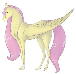 Size: 2048x1990 | Tagged: safe, artist:mapleicious, artist:mapleiciousmlp, fluttershy, horse, pegasus, pony, g4, akhal teke, female, folded wings, profile, solo, wings