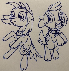 Size: 2686x2740 | Tagged: safe, artist:rainbow eevee, princess ember, spike, spike the regular dog, dog, equestria girls, g4, collar, cute, dogified, duo, high res, lineart, pen drawing, species swap, traditional art
