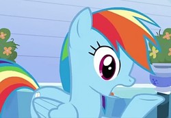 Size: 687x472 | Tagged: safe, screencap, rainbow dash, pegasus, pony, g4, games ponies play, cropped, female, mare, open mouth, profile, raised hoof, solo