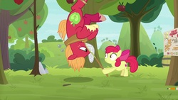 Size: 1920x1080 | Tagged: safe, screencap, apple bloom, big macintosh, pony, g4, going to seed, apple tree, butterfly net, gotcha, hanging, hanging upside down, tree