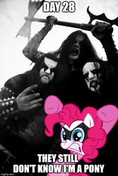 Size: 500x749 | Tagged: safe, pinkie pie, earth pony, human, pony, g4, axe, black and white, black metal, black metal ist kreig, corpse paint, female, grayscale, immortal, kvlt, mare, meme, metal, monochrome, weapon