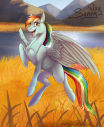 Size: 1000x1217 | Tagged: safe, artist:sunny way, rainbow dash, pegasus, pony, rcf community, g4, female, flying, happy, looking at you, open mouth, solo, wings