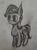 Size: 2714x3619 | Tagged: safe, artist:antique1899, trixie, pony, g4, blushing, female, high res, monochrome, solo, traditional art