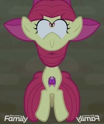 Size: 856x1024 | Tagged: safe, edit, edited screencap, screencap, apple bloom, pony, g4, going to seed, season 9, cropped, discovery family logo, female, out of context, solo, unitinu