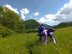 Size: 4032x3024 | Tagged: safe, artist:arniemkii, nightmare moon, princess luna, alicorn, pony, g4, bootleg, female, flower, hongyi, inflatable, inflatable toy, mare, mare in the moon, nature, spring