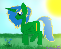 Size: 2823x2263 | Tagged: safe, artist:princess paw draw, oc, oc only, oc:prince thunder spark, alicorn, pony, alicorn oc, flower, grass, grass field, high res, smiling, solo, sunny day
