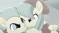 Size: 1334x750 | Tagged: safe, screencap, barley barrel, pickle barrel, pegasus, pony, g4, my little pony: rainbow roadtrip, barrel twins, brother and sister, ca magic of friendship logo, colt, female, filly, male, out of context, siblings, twins