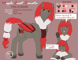 Size: 1280x985 | Tagged: safe, artist:azurllinate, oc, oc only, oc:maple frost kanata, pony, accessory, canada, canada pony, canadian, cloven hooves, colored, ear fluff, female, flat colors, half-bat pony, half-earth pony, mixed breed, patriotic, red mane, reference sheet, snow, speech, speech bubble, tall, two toned mane, two toned wings, waving, white mane, wings