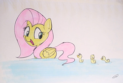 Size: 4008x2716 | Tagged: safe, artist:taurson, fluttershy, duck pony, hybrid, pegasus, pony, g4, behaving like a duck, duckling, female, flutterduck, fluttermom, folded wings, looking at someone, looking back, mare, open mouth, pegaduck, pony hybrid, smiling, swimming, traditional art, water, wings