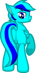 Size: 393x796 | Tagged: safe, artist:zeka10000, oc, oc only, oc:sky gamer, pony, blank flank, butt, dock, ear fluff, featureless crotch, full body, looking back, male, plot, request, requested art, simple background, smiling, solo, stallion, standing, transparent background