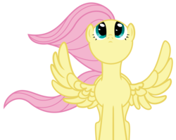 Size: 4416x3515 | Tagged: safe, artist:mfg637, fluttershy, pegasus, pony, g4, female, front view, full face view, looking up, mare, simple background, solo, spread wings, transparent background, vector, windswept mane, wings
