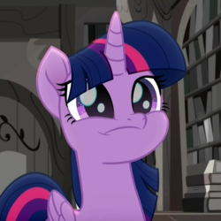 Size: 1080x1080 | Tagged: safe, edit, edited screencap, screencap, twilight sparkle, alicorn, pony, g4, my little pony: rainbow roadtrip, book, bookshelf, cropped, cute, female, inverted mouth, library, mare, solo, twiabetes, twilight sparkle (alicorn)