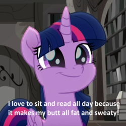 Size: 1080x1080 | Tagged: safe, edit, edited screencap, screencap, twilight sparkle, alicorn, pony, g4, my little pony: rainbow roadtrip, book, bookshelf, cropped, cute, dialogue, female, library, mare, smiling, solo, sweat, that pony sure does love books, too much information, twiabetes, twilight sparkle (alicorn)