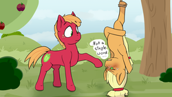 Size: 2560x1440 | Tagged: safe, artist:fuzzypones, applejack, big macintosh, earth pony, pony, g4, going to seed, :t, anatomically incorrect, blushing, brother and sister, colt, colt big macintosh, covering, duo, embarrassed, female, filly, filly applejack, foal, freckles, frown, glare, grass, incorrect leg anatomy, male, outdoors, raised hoof, rope, siblings, silly, silly pony, snare trap, stuck, trap (device), tree, upside down, who's a silly pony, wide eyes, younger