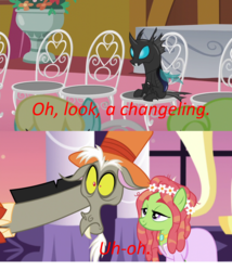 Size: 802x935 | Tagged: safe, edit, edited screencap, screencap, discord, kevin, tree hugger, changeling, pony, g4, make new friends but keep discord, slice of life (episode), female, mare, meme