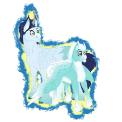 Size: 2360x2360 | Tagged: safe, artist:inisealga, fleetfoot, soarin', pegasus, pony, fanfic:piercing the heavens, g4, artificial horn, coat markings, duo, fanfic art, female, fluffy, high res, male, mare, raised eyebrow, simple background, smiling, stallion, transparent background, unshorn fetlocks